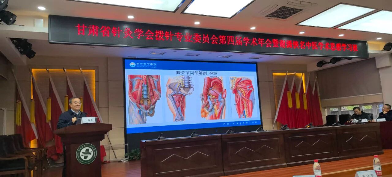 省针灸学会拨针分会、省老年医学学会风湿与疼痛康复协同创新专业委员会学术年会暨谢潇侠名中医学术思想学习班综合学术会议圆满落幕